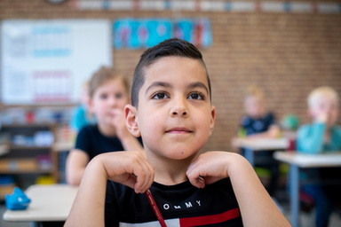 Formulieren - belangrijke documenten, roosters en formulieren in PDF formaat